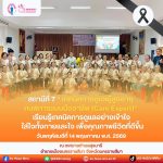 เทคนิคการดูแลผู้สูงอายุและคนพิการแบบมืออาชีพ